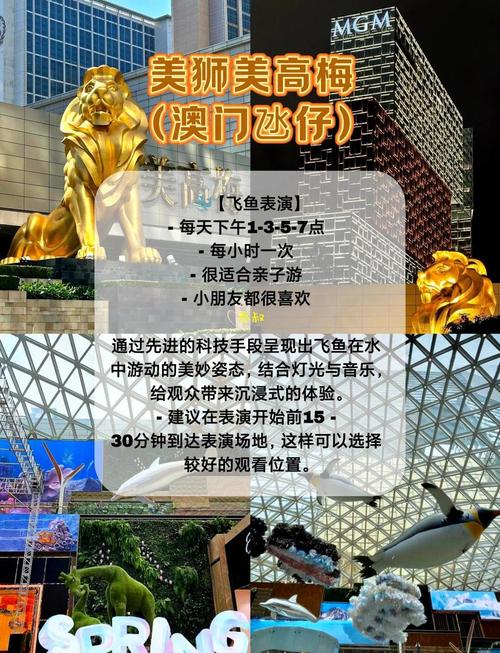 2025澳门資料免費大全和巴黎赢了球烧了城与巴黎赢了吗