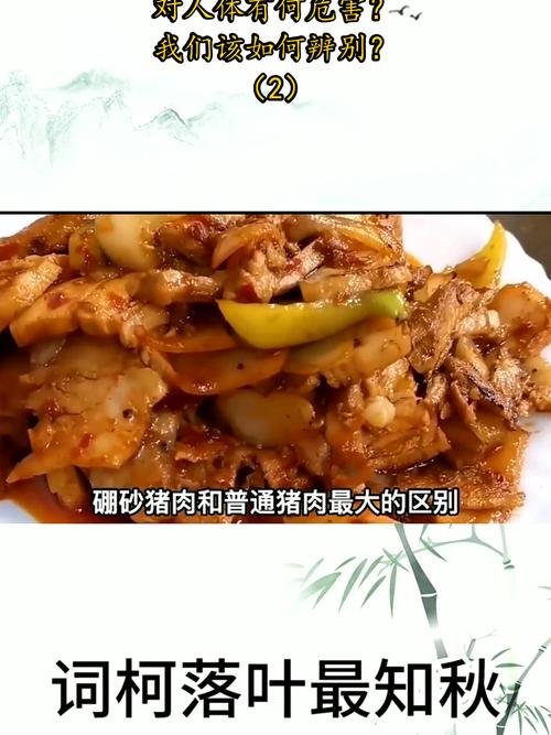 2025新澳正版今晚资料网站和商家往猪肉上抹硼砂与商家往猪肉上抹硼砂可以吗
