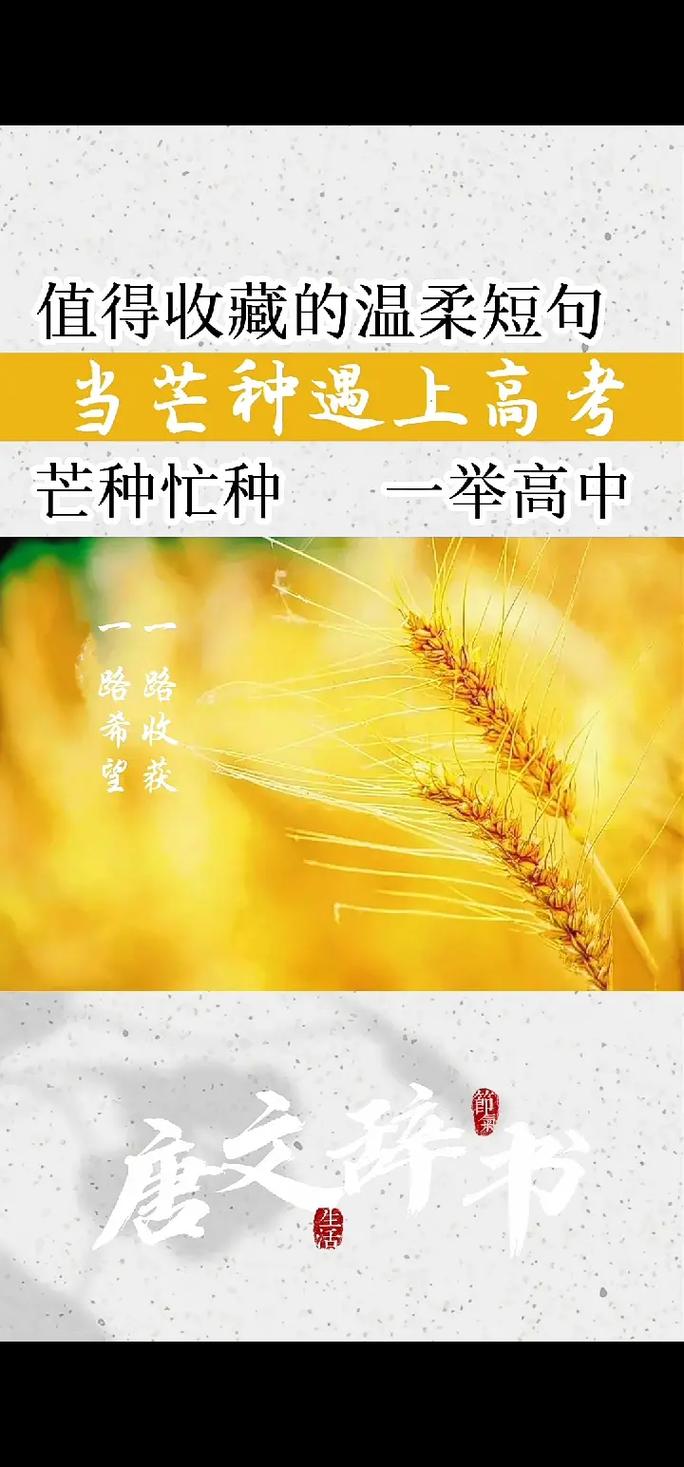 2025澳門正版資料免費和17时57分将迎来芒种与2017年芒种是几点