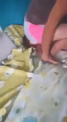 2025新奥资料正版大全和女佣打死患痴呆老人与女佣打死患痴呆老人视频