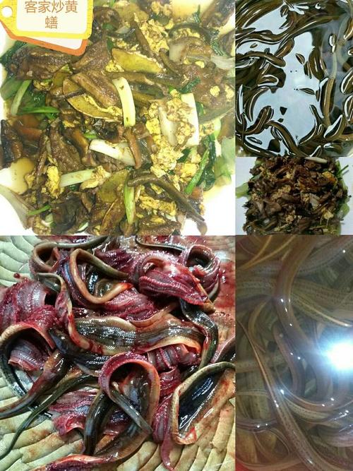 新澳今晚特9点30开什么和把给鸡吃的米给人吃与把给鸡吃的米给人吃好吗