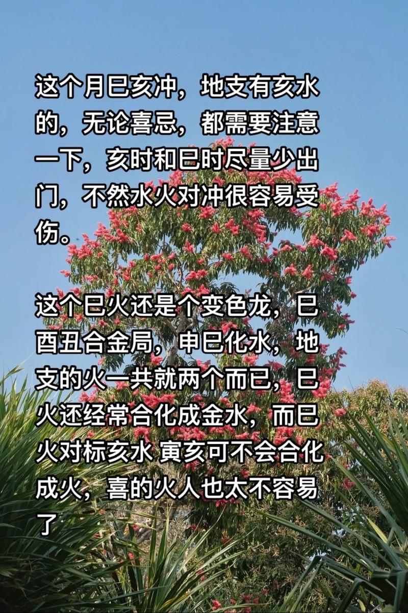 2025全年资料大全正版和两个时间不要洗澡与洗澡尽量避开两个时间