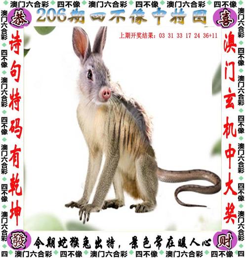 新澳门彩最快开奖记录和日机闯我舰队训练区与